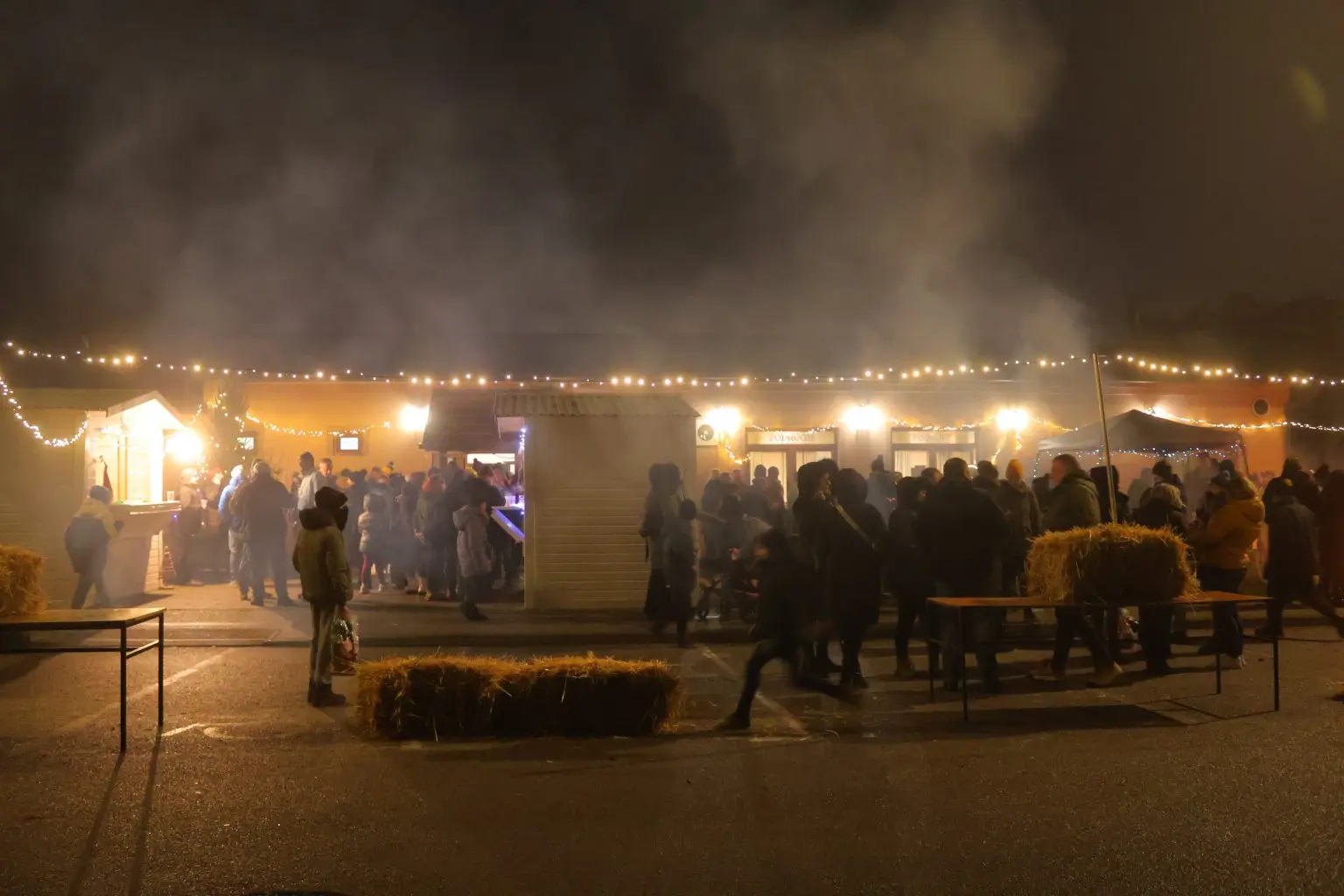 SAVSKA VES DJED MRAZ (1) SAVSKA VES DJED MRAZ (1)