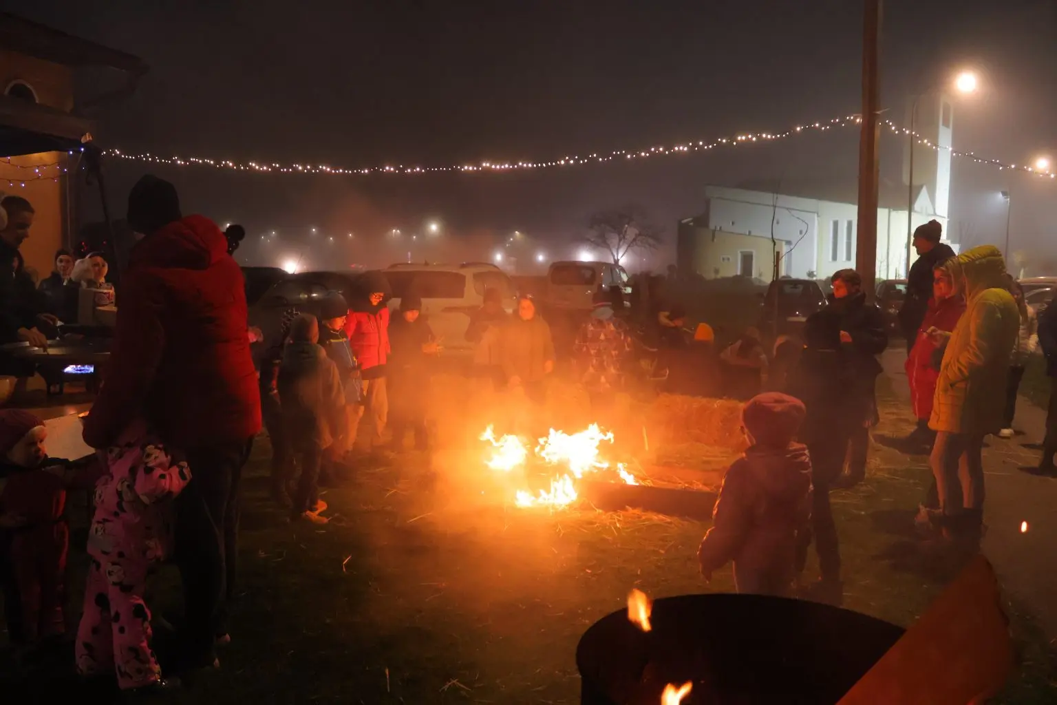 SAVSKA VES DJED MRAZ (15) SAVSKA VES DJED MRAZ (15)