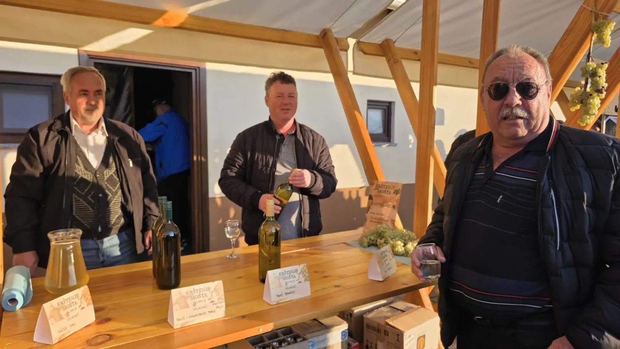 SELNICA vino – martinje (8)