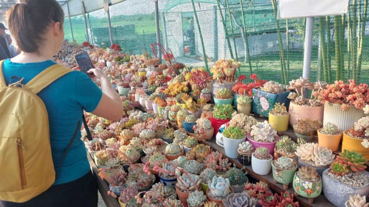 ŠETNJA KOJA SPAJA Priroda, baština i zajedništvo na stazama Feštetića u Brezju (6)