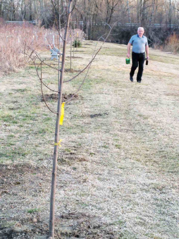SRD GLAVATICA Vrijedni članovi oplemenili ribnjak novim stablima (10) SRD GLAVATICA Vrijedni članovi oplemenili ribnjak novim stablima (10)