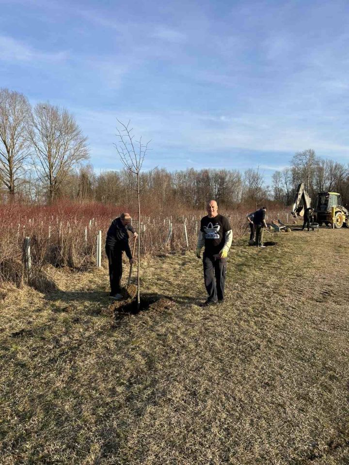 SRD GLAVATICA Vrijedni članovi oplemenili ribnjak novim stablima (11) SRD GLAVATICA Vrijedni članovi oplemenili ribnjak novim stablima (11)