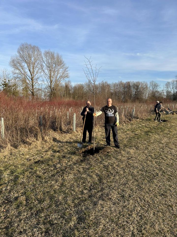 SRD GLAVATICA Vrijedni članovi oplemenili ribnjak novim stablima (12) SRD GLAVATICA Vrijedni članovi oplemenili ribnjak novim stablima (12)