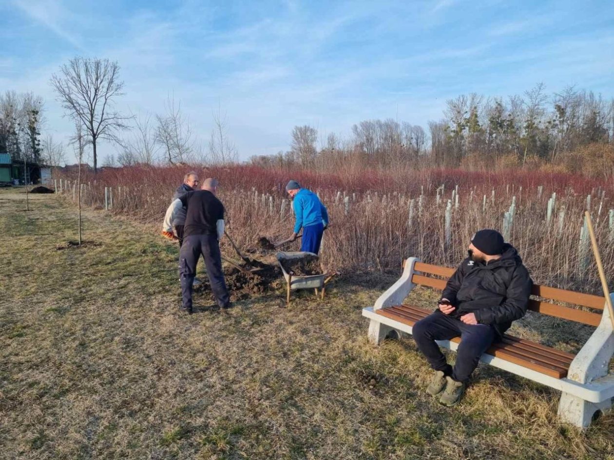 SRD GLAVATICA Vrijedni članovi oplemenili ribnjak novim stablima (4) SRD GLAVATICA Vrijedni članovi oplemenili ribnjak novim stablima (4)