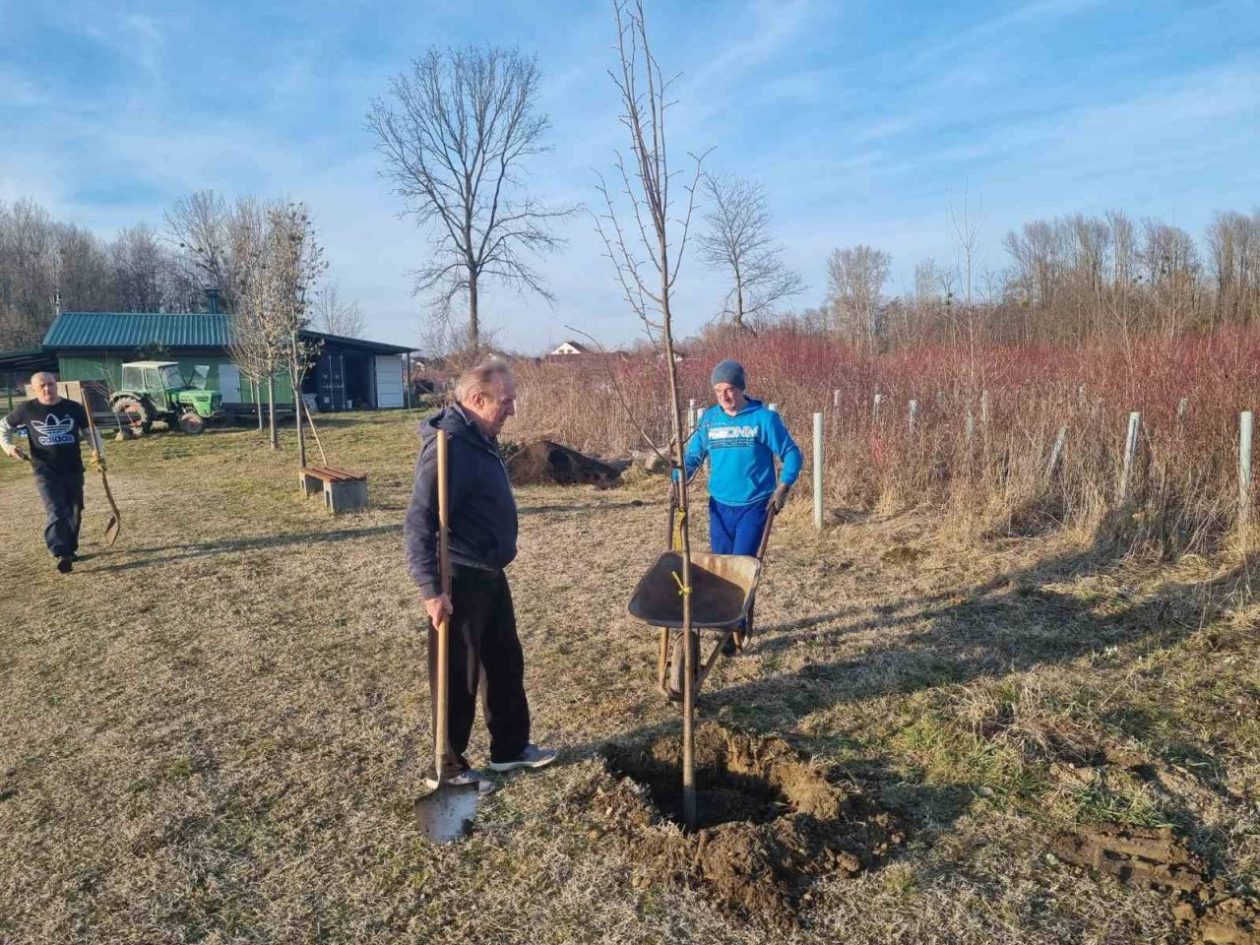 SRD GLAVATICA Vrijedni članovi oplemenili ribnjak novim stablima (7) SRD GLAVATICA Vrijedni članovi oplemenili ribnjak novim stablima (7)