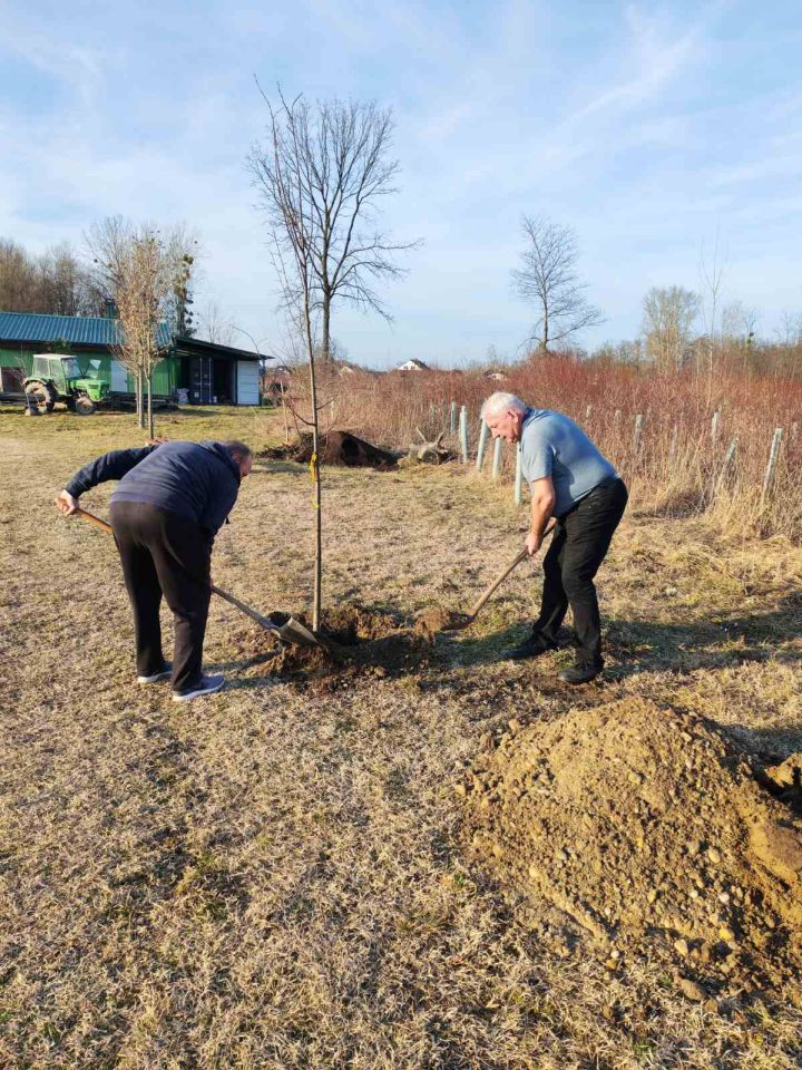 SRD GLAVATICA Vrijedni članovi oplemenili ribnjak novim stablima (9) SRD GLAVATICA Vrijedni članovi oplemenili ribnjak novim stablima (9)