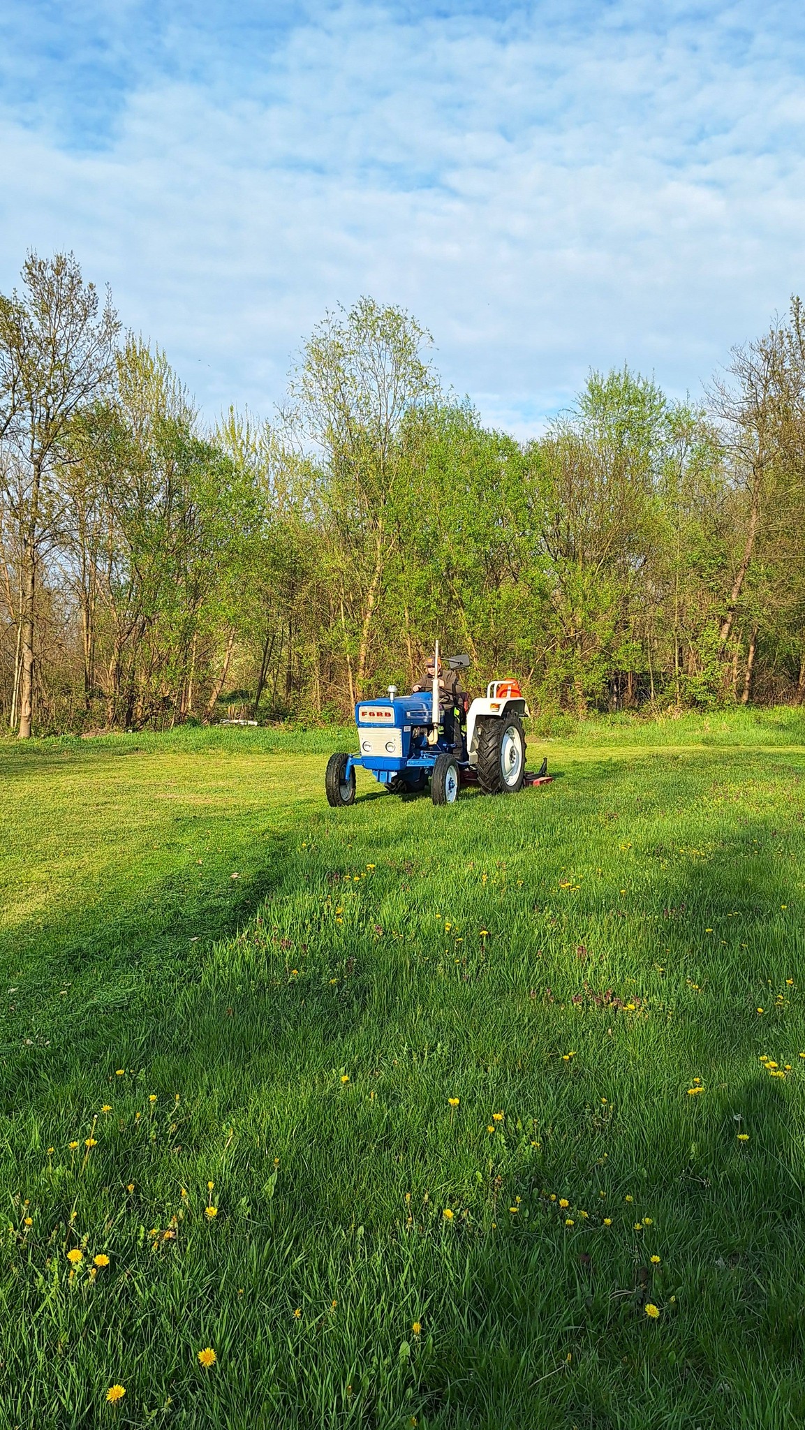 SRD ŠARAN GARDINOVEC dan planeta zemlje (4)