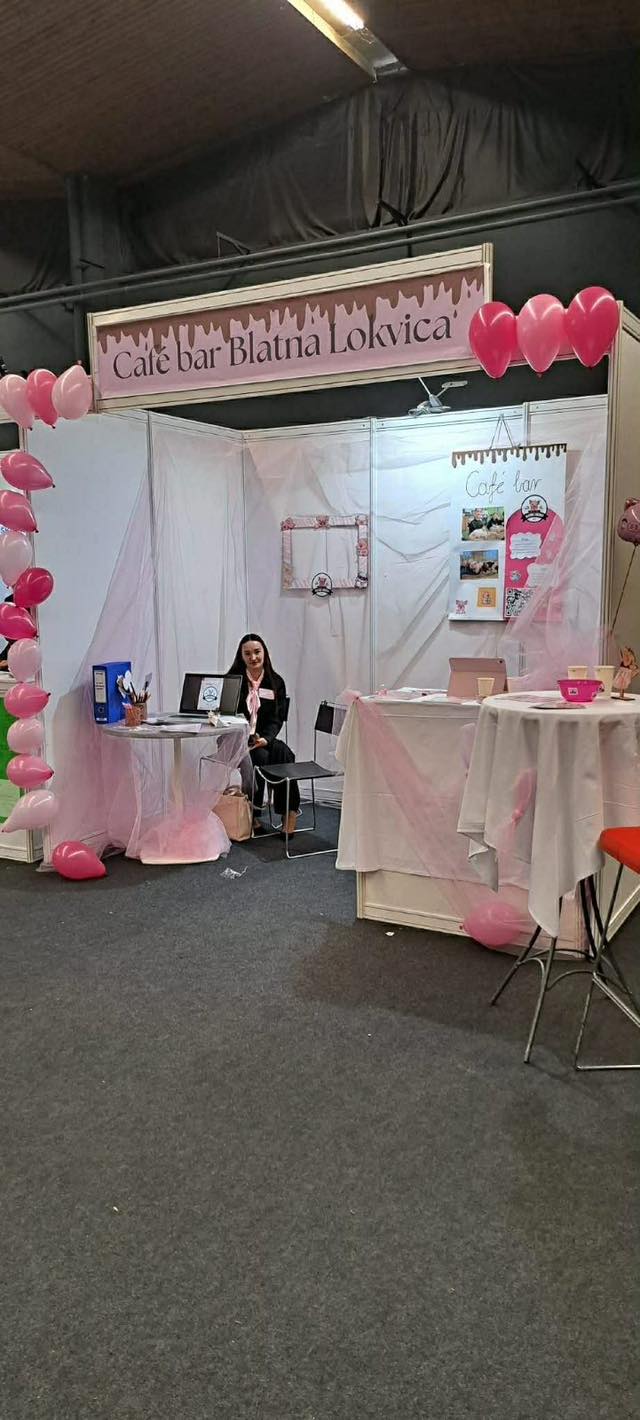 SREDNJA ŠKOLA PRELOG (9)