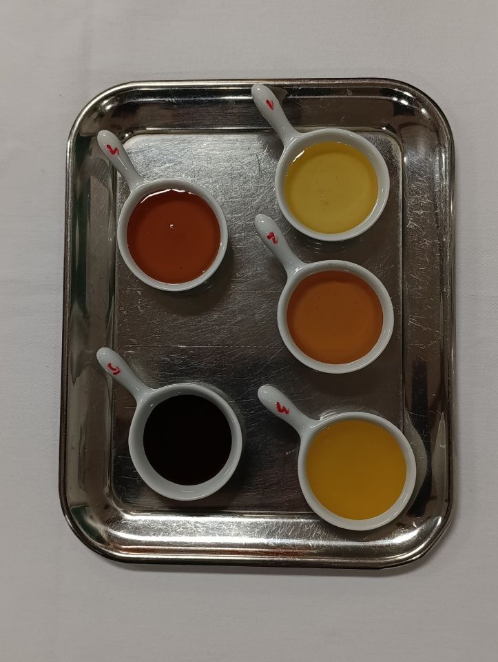 SŠ PRELOG Nastavnici razmjenjivali iskustva i kušali vrhunske delicije (13)