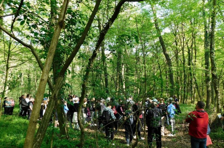 STAZAMA PROŠLOSTI Šetnja Feštetićevim tragovima u Brezju (12)