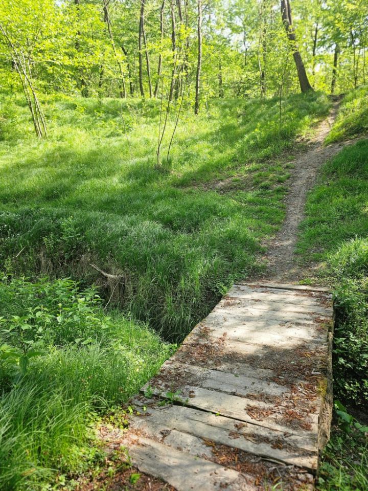 STAZAMA PROŠLOSTI Šetnja Feštetićevim tragovima u Brezju (3)