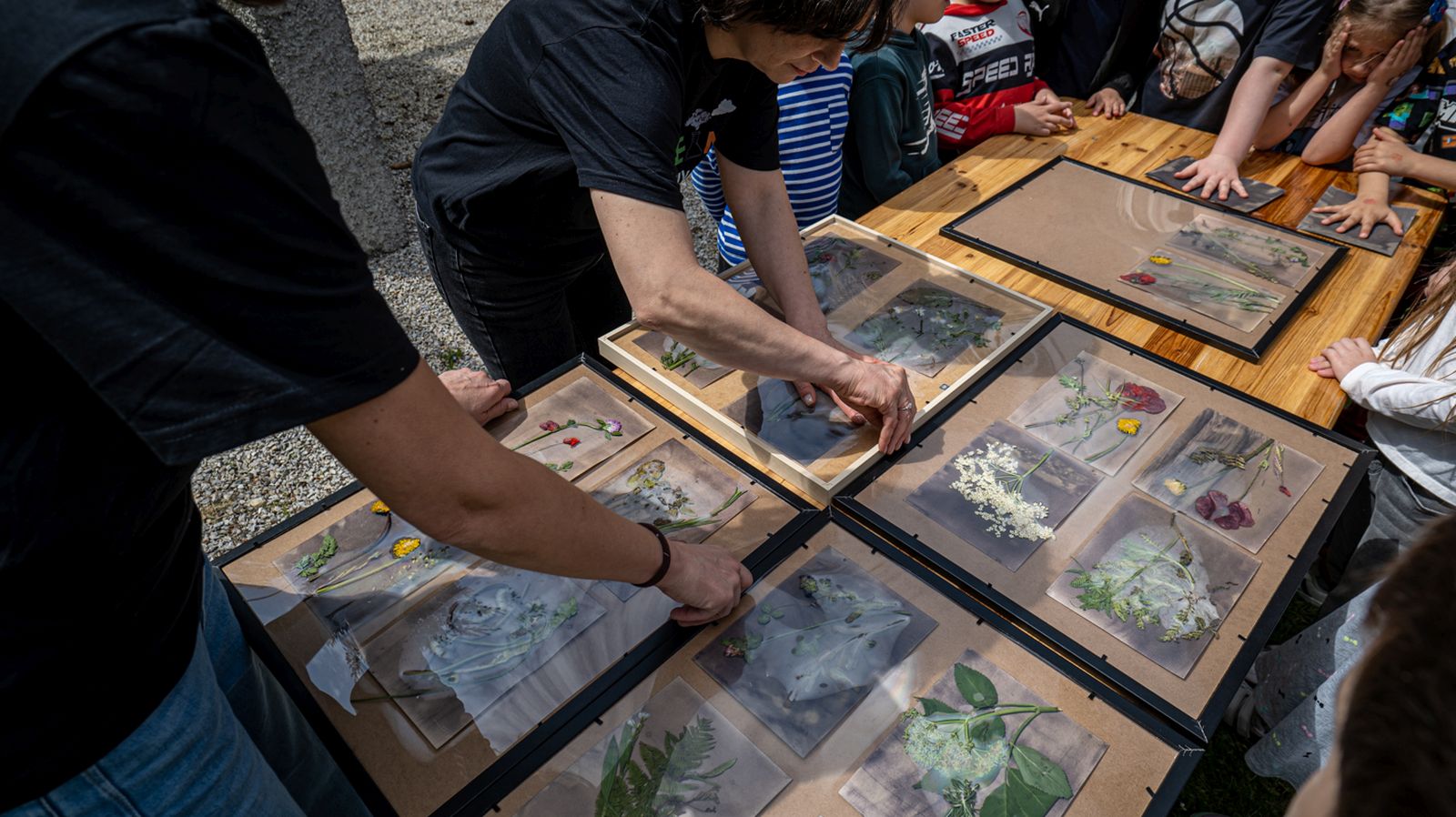 STE(A)M-109 STE(A)M-109