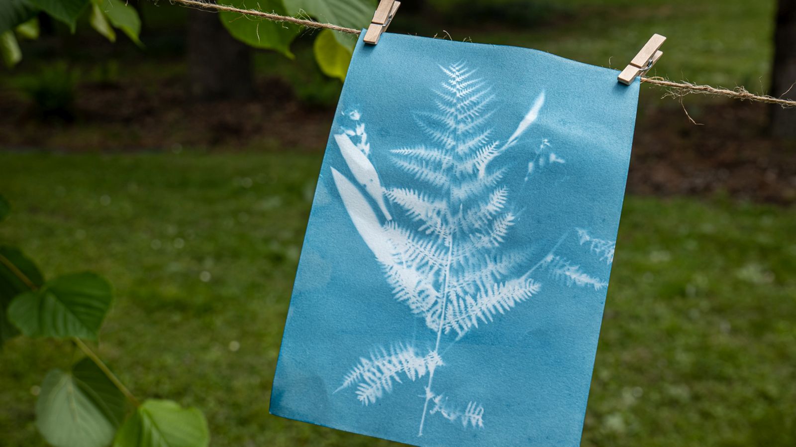 STE(A)M-112 STE(A)M-112