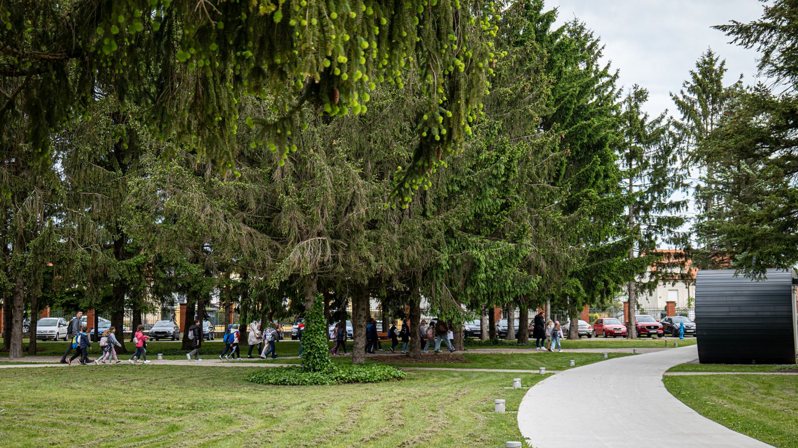 STE(A)M-33 STE(A)M-33