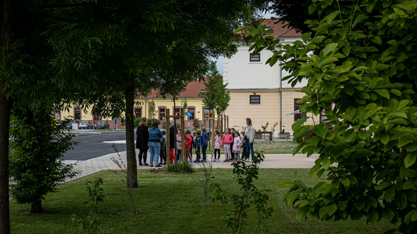 STE(A)M-41 STE(A)M-41