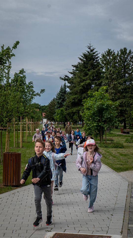 STE(A)M-74 STE(A)M-74