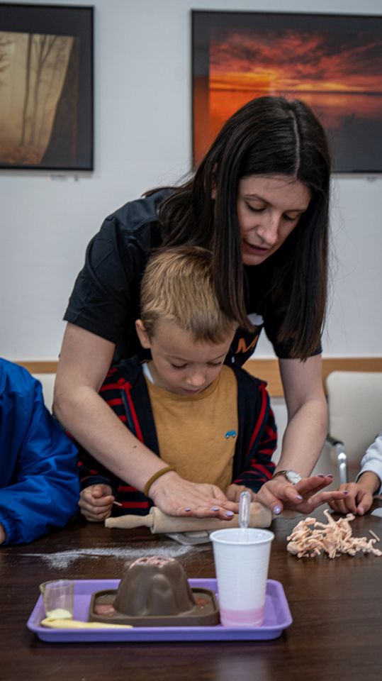 STE(A)M-79 STE(A)M-79