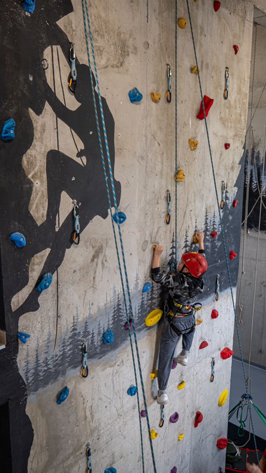 STE(A)M-83 STE(A)M-83