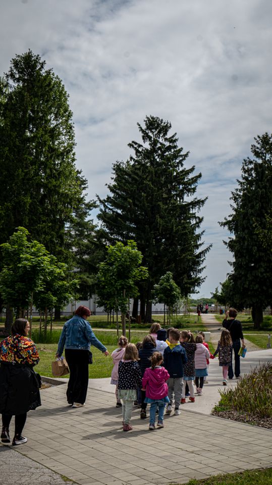 STE(A)M-94 STE(A)M-94