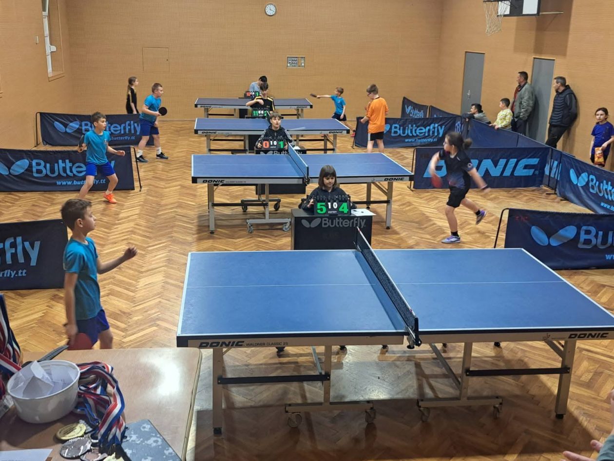 STK KOS-KOTORIBA (6)