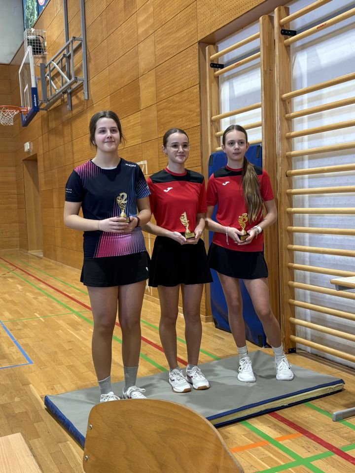 STOLNI TENIS PRVENSTVO MEĐIMURJA 2026. (7) STOLNI TENIS PRVENSTVO MEĐIMURJA 2026. (7)