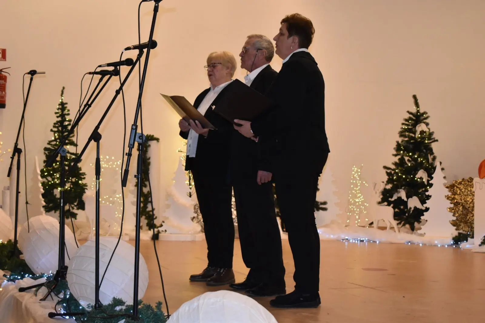 STRAHONINEC Božićna priredba (2)