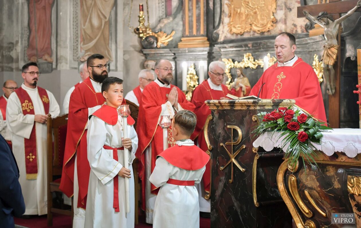 studio VIPRO studio VIPRO