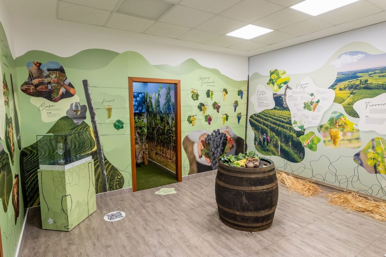 SVJETSKI CENTAR PUŠIPELA U Štrigovi otkrivena prva mlada vina berbe 2025 (5)