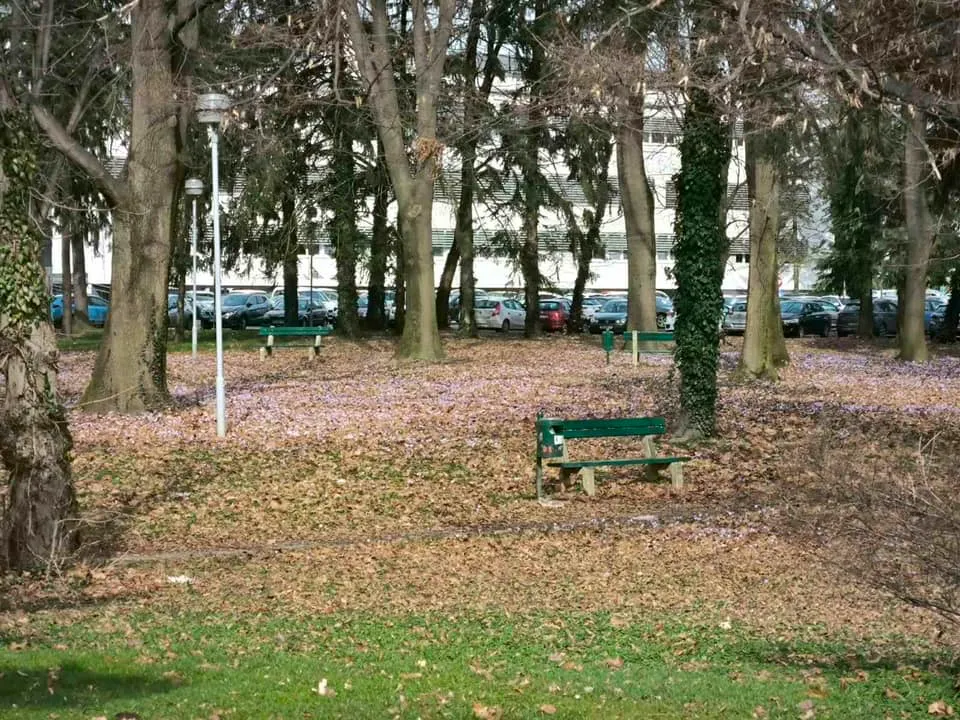 Šafrani, park, bolnica (3)