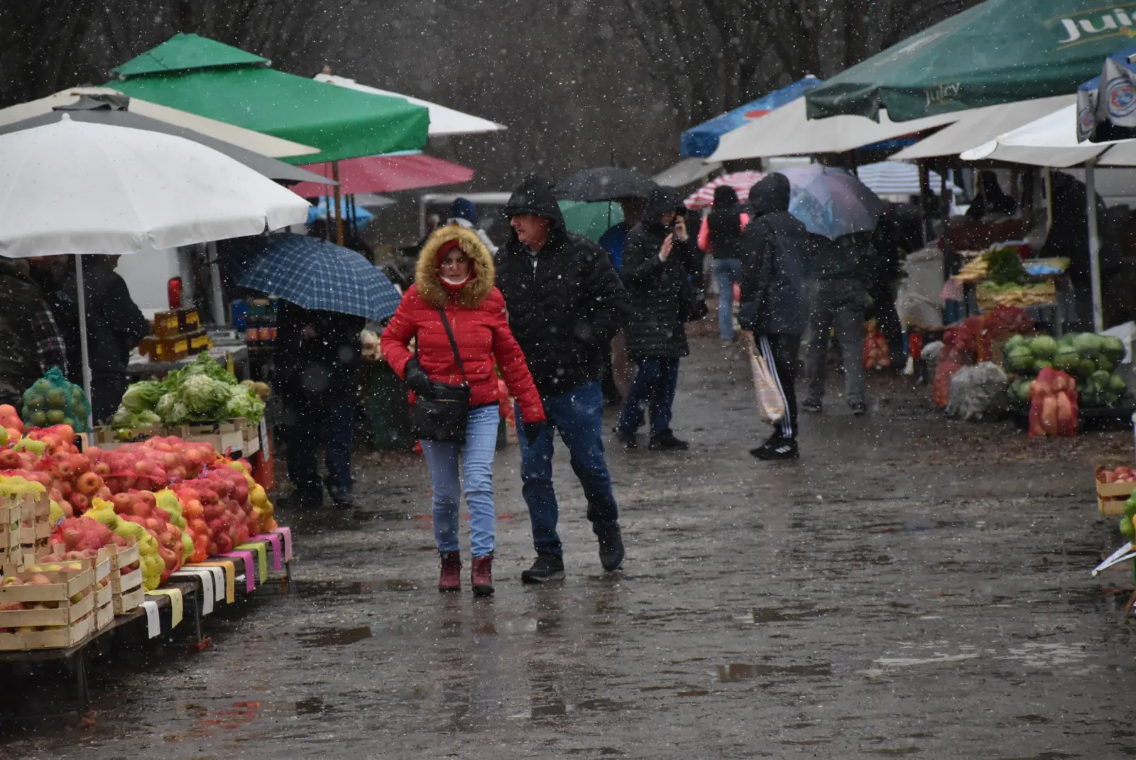 Sajam 11.12.24., Čakovec (1)