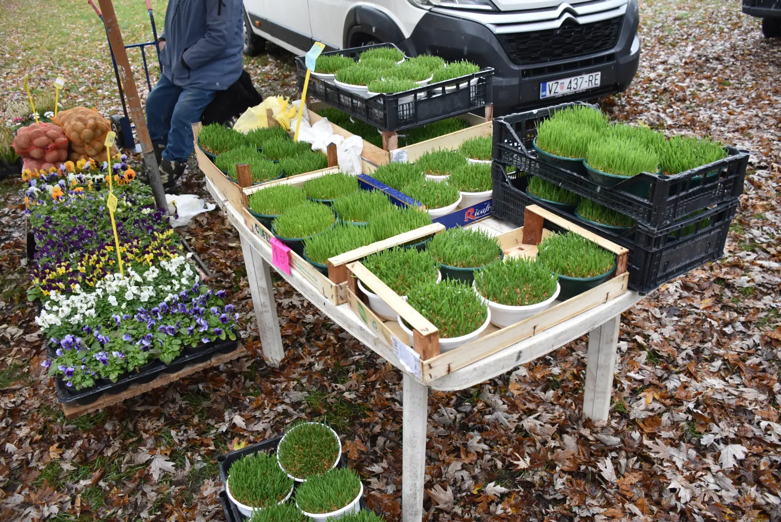 Sajam 11.12.24., Čakovec (17)