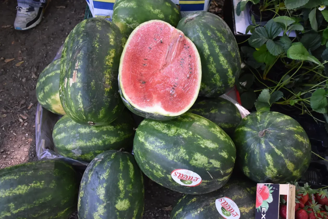 Sajam 14.5.2025. Čakovec (10) Sajam 14.5.2025. Čakovec (10)