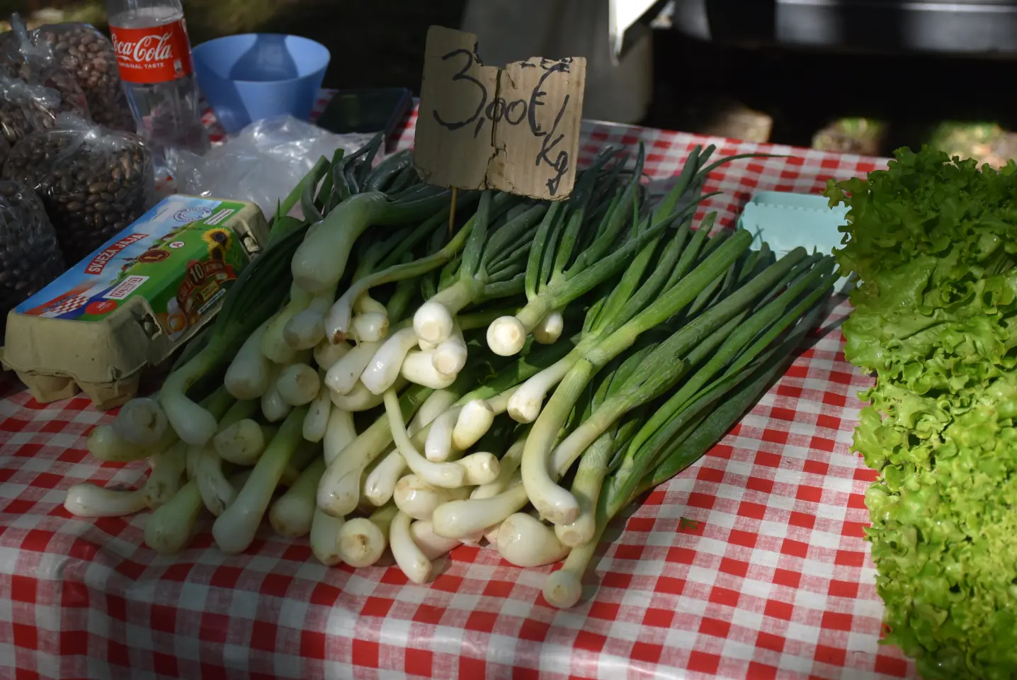 Sajam 14.5.2025. Čakovec (19)