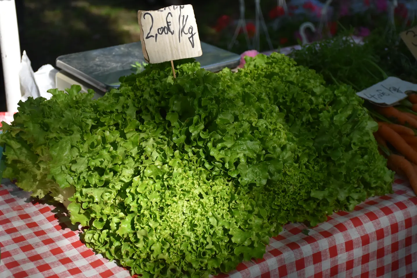 Sajam 14.5.2025. Čakovec (20)