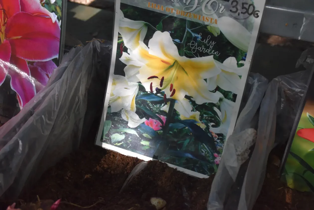 Sajam 14.5.2025. Čakovec (22) Sajam 14.5.2025. Čakovec (22)