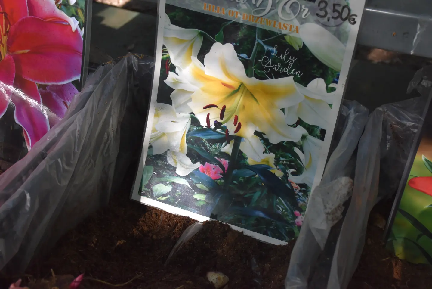 Sajam 14.5.2025. Čakovec (22)