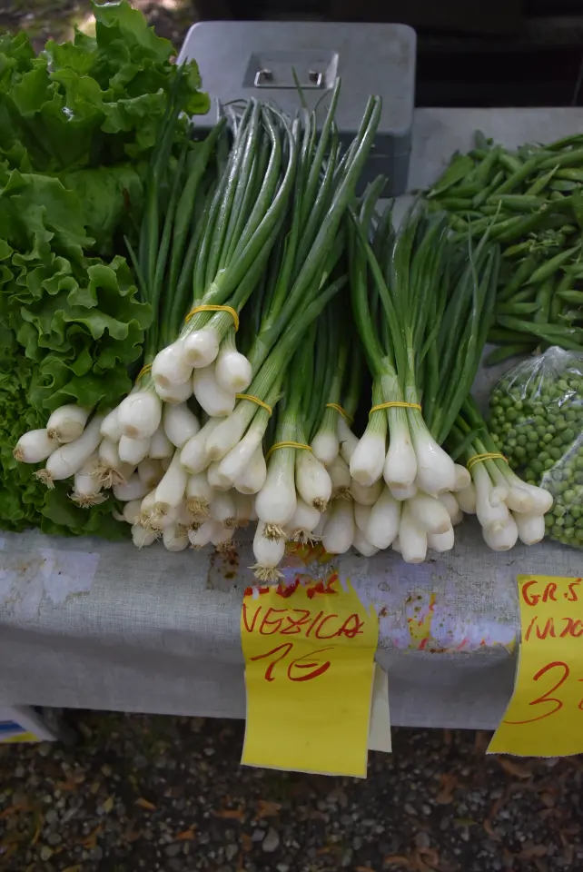 Sajam 14.5.2025. Čakovec (23)