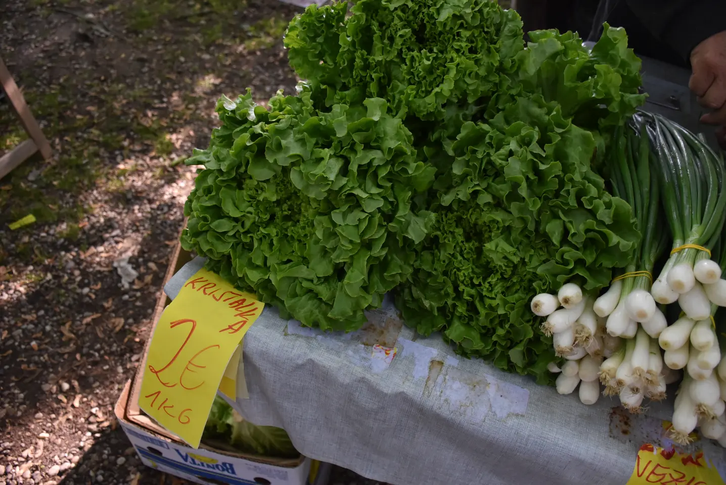 Sajam 14.5.2025. Čakovec (24)