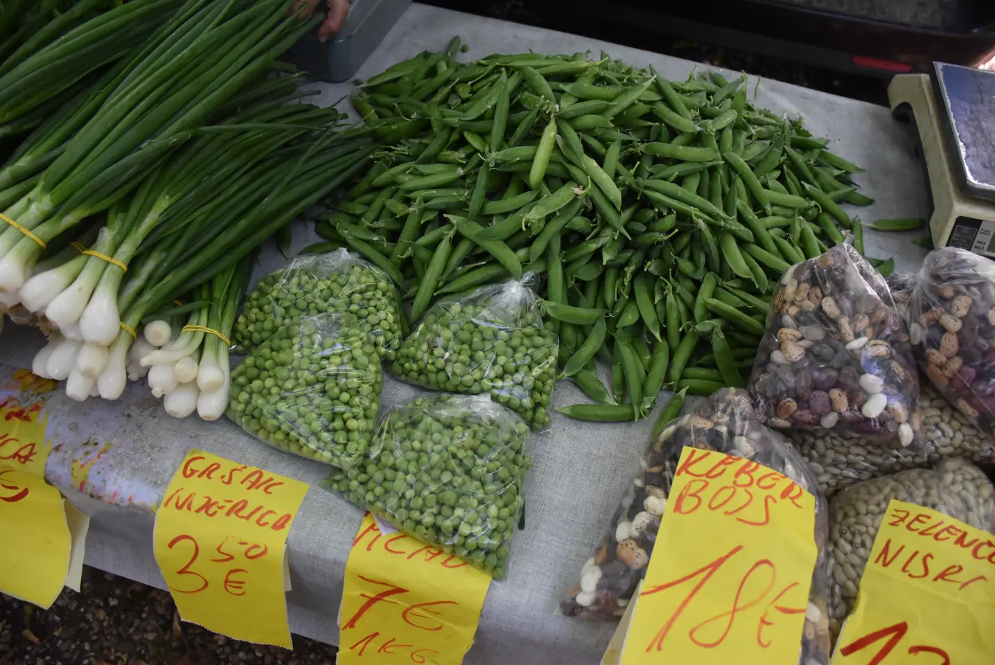 Sajam 14.5.2025. Čakovec (25)