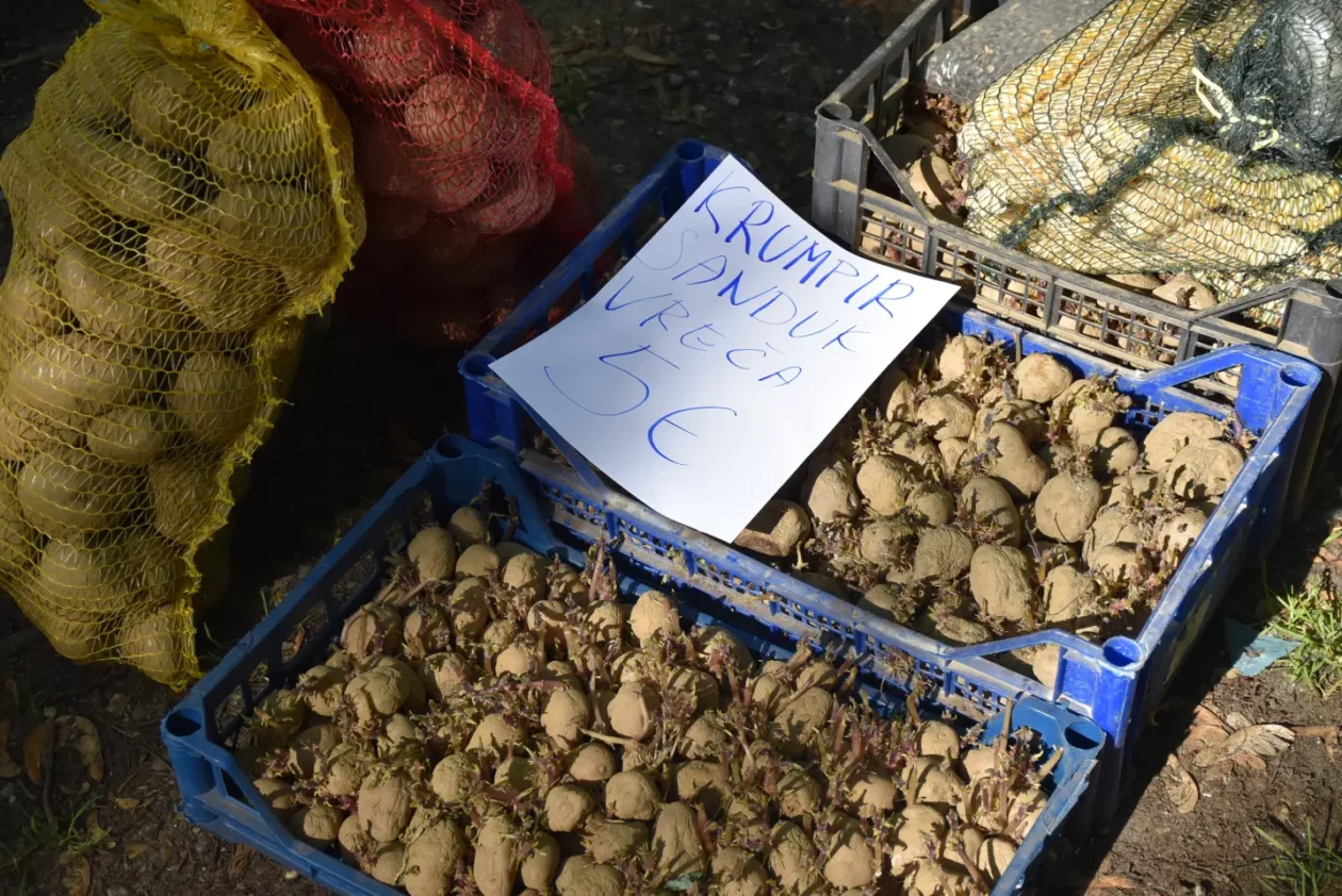 Sajam 14.5.2025. Čakovec (29) Sajam 14.5.2025. Čakovec (29)