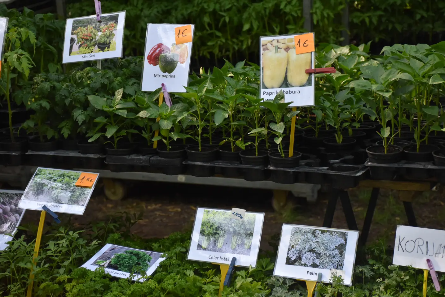 Sajam 14.5.2025. Čakovec (30)