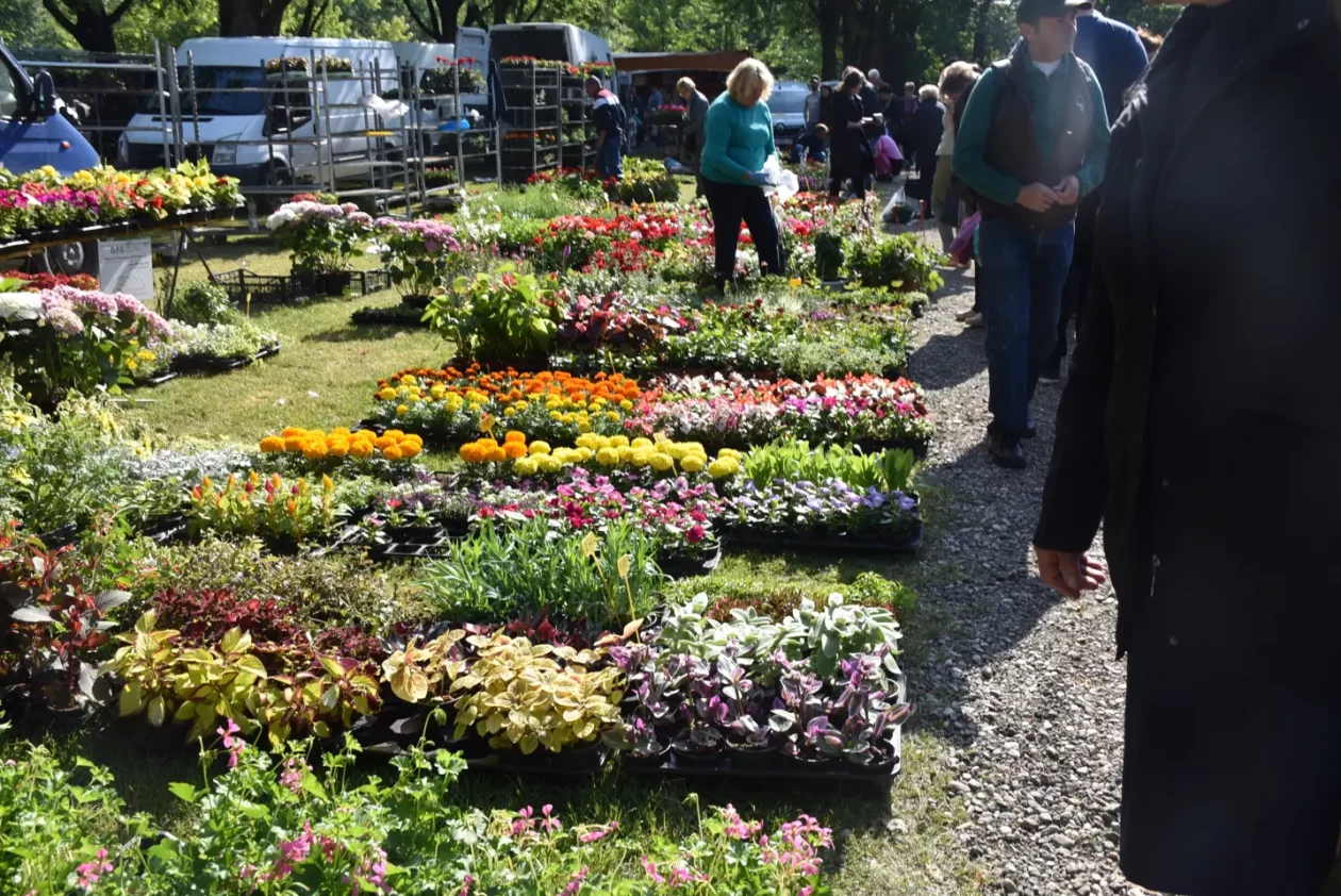 Sajam 14.5.2025. Čakovec (38) Sajam 14.5.2025. Čakovec (38)