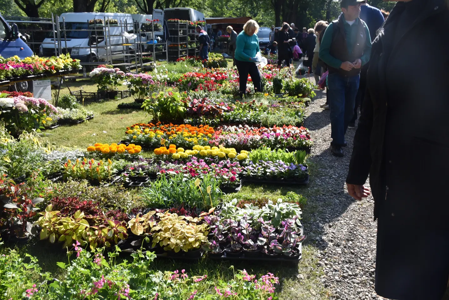 Sajam 14.5.2025. Čakovec (38)