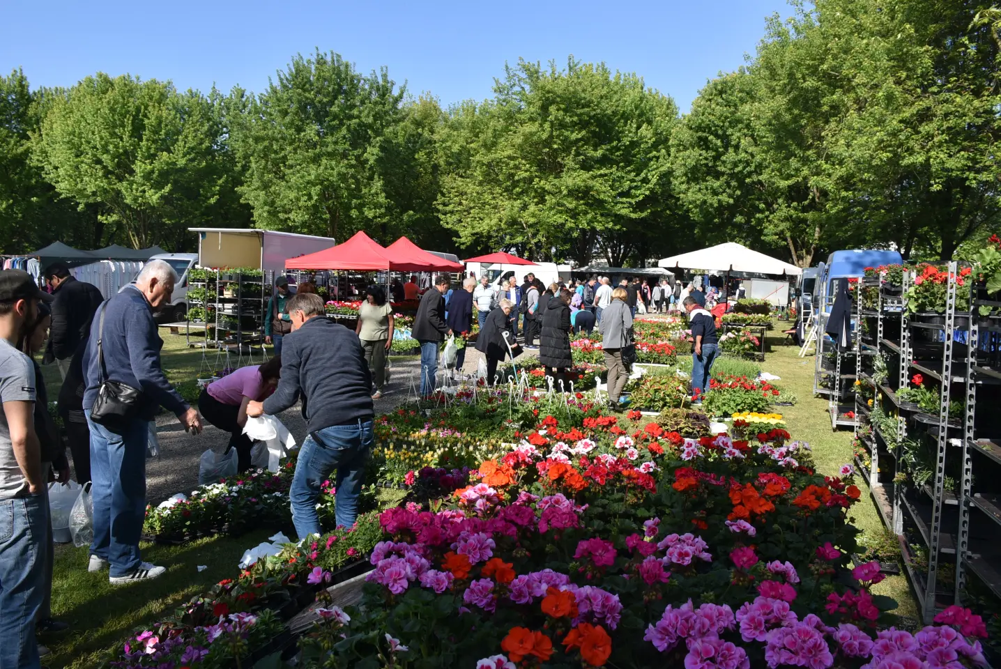 Sajam 14.5.2025. Čakovec (39)