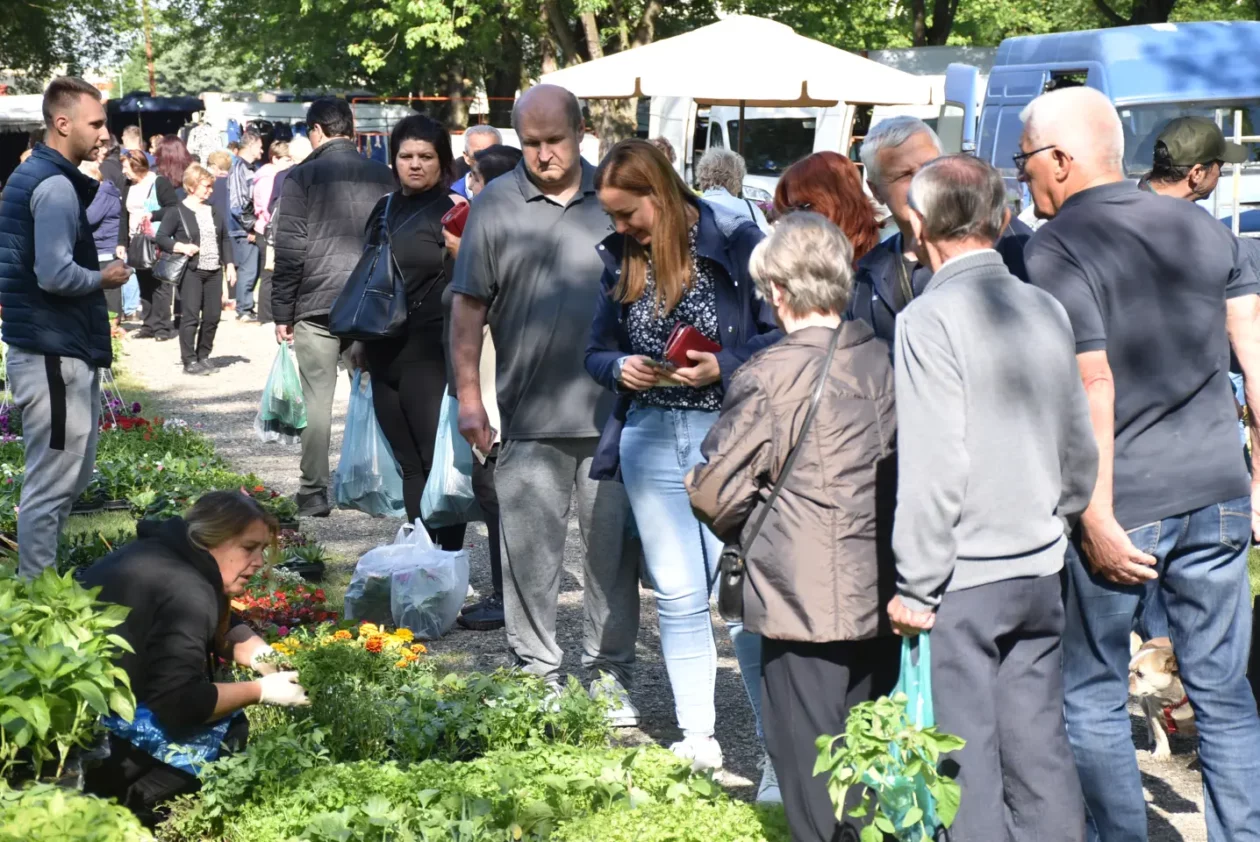 Sajam 14.5.2025. Čakovec (40) Sajam 14.5.2025. Čakovec (40)