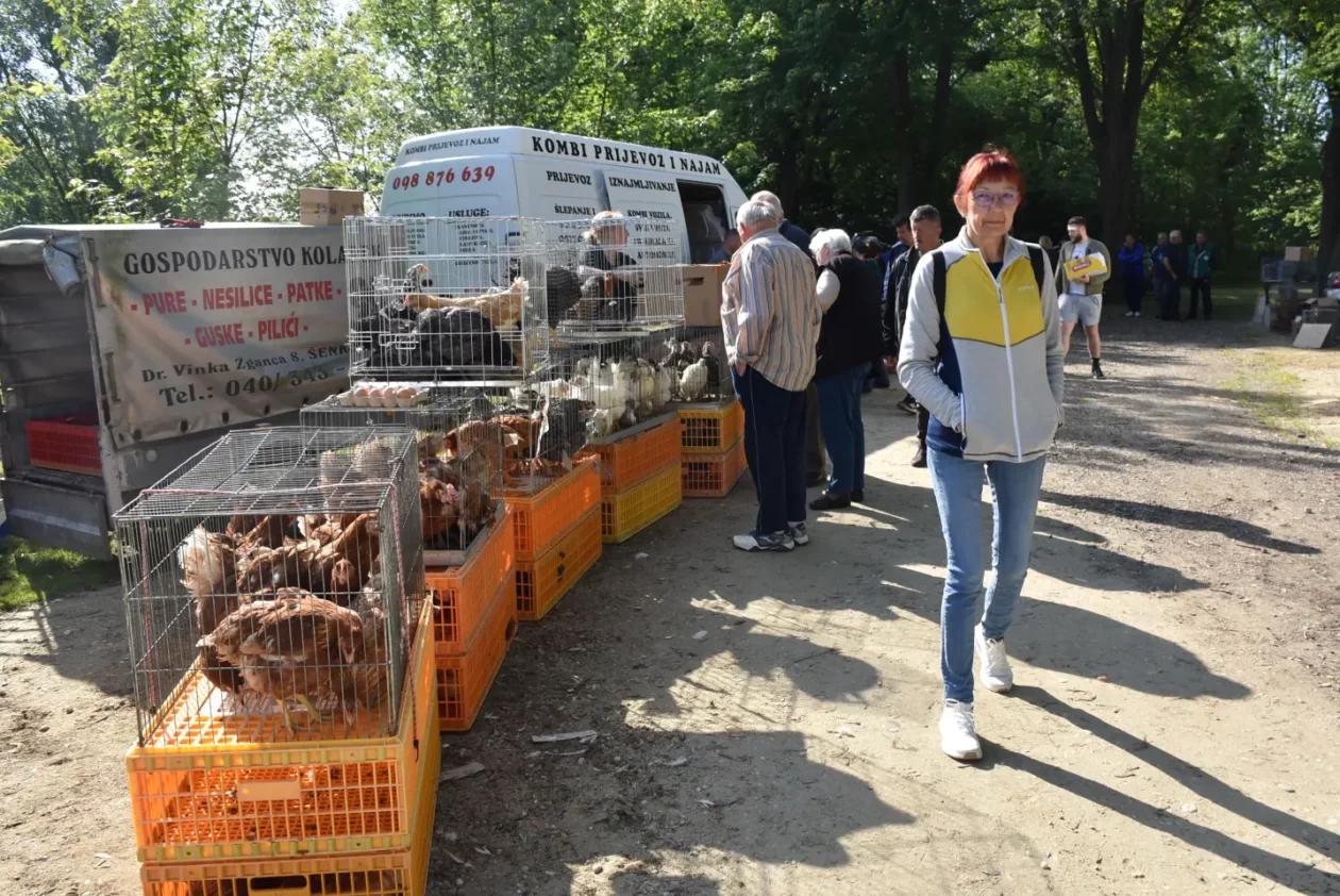 Sajam 14.5.2025. Čakovec (44) Sajam 14.5.2025. Čakovec (44)