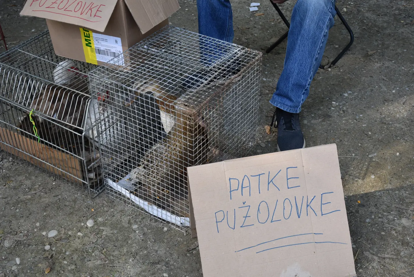 Sajam 14.5.2025. Čakovec (46)