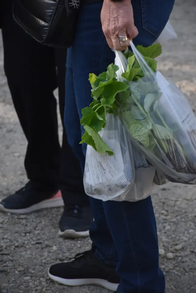 Sajam 14.5.2025. Čakovec (5)