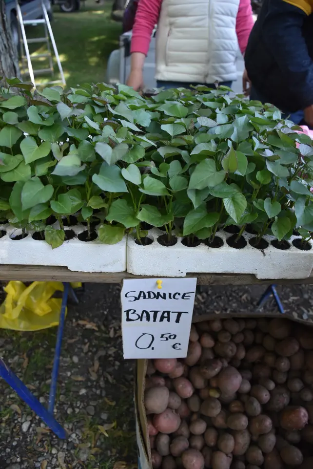 Sajam 14.5.2025. Čakovec (6)