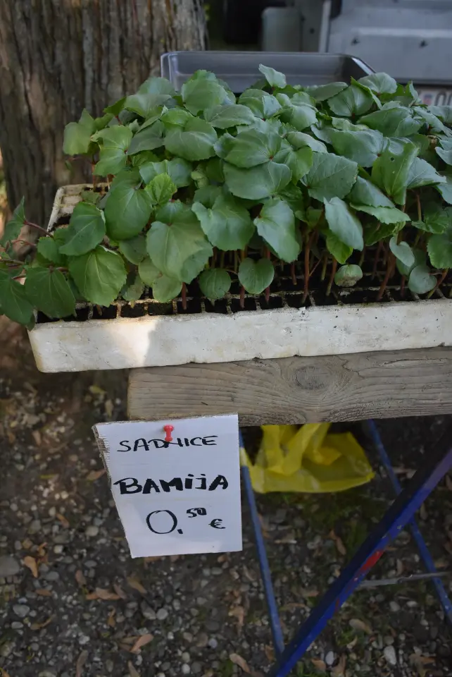 Sajam 14.5.2025. Čakovec (7)